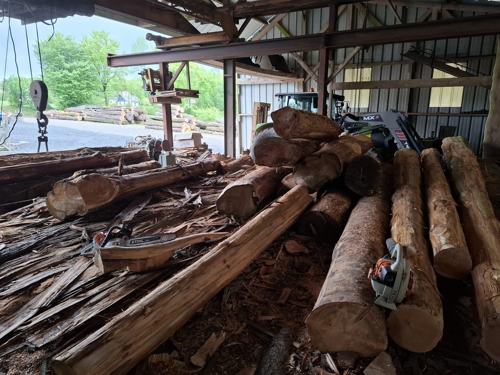 Timber at our mill in Normandy